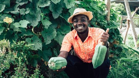 African farmer holding papaya at organic farmの写真素材