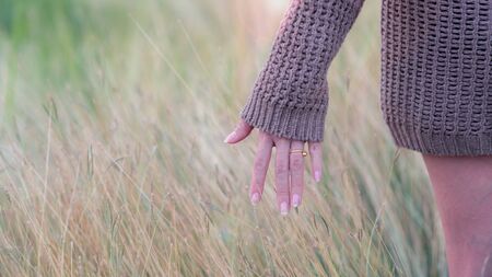 Freedom woman hand feels to the meadows.16:9 styleの写真素材