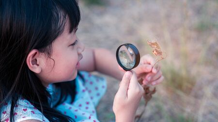 Happy asian child girl exploring nature with magnifying glass.16:9 styleの写真素材