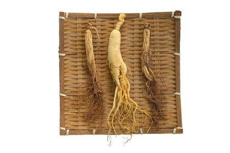 Fresh and dry ginseng on bamboo weave with isolated on the white background.の写真素材