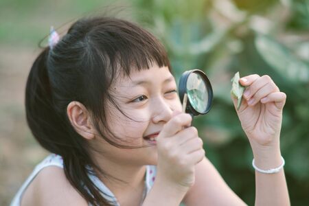 Happy asian little child girl looking through a magnifying glass on green leaf tree in the parkの写真素材