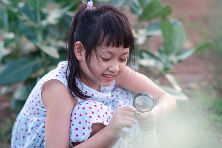 Happy asian little child girl looking through a magnifying glass on green leaf tree in the parkの写真素材