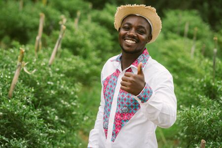 African farmer man standing in the organic farm with wearing native clothes . Agriculture or cultivation conceptの写真素材