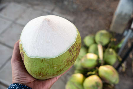 Hand holding a green coconut