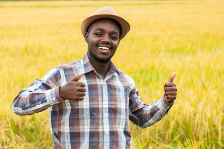 African farmer using smartphone in organic rice field with smile and happy.Agriculture or cultivation conceptの写真素材