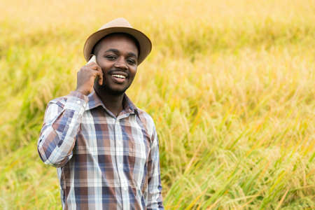 African farmer using smartphone in organic rice field with smile and happy.Agriculture or...