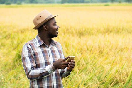 African farmer using smartphone in organic rice field with smile and happy.Agriculture or cultivation conceptの写真素材