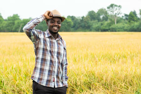 African farmer standing in  organic rice field with smile and happy.Agriculture or cultivation conceptの写真素材