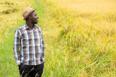 African farmer standing in  organic rice field with smile and happy.Agriculture or cultivation conceptの写真素材