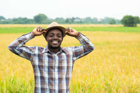 African farmer standing in  organic rice field with smile and happy.Agriculture or cultivation conceptの写真素材
