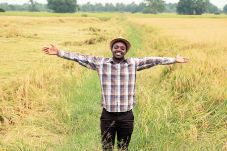 African farmer standing in  organic rice field with smile and happy.Agriculture or cultivation conceptの写真素材