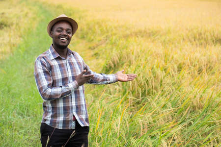 African farmer standing in  organic rice field with smile and happy.Agriculture or cultivation conceptの写真素材