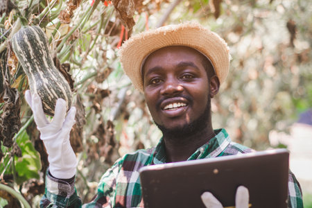 African farmer man checks a melon of organic vegetable farm with using tabletの写真素材