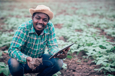 African farmer using tablet for  research soil  in organic farm.Agriculture or cultivation concept