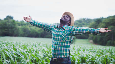 Happiness african Farmer with hat stand in the corn plantation field.Agriculture or cultivation conceptの写真素材