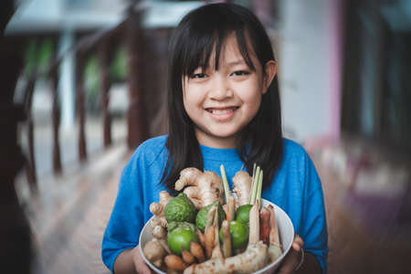 Asian child girl holding a bowl of herbs include many types such as ginger, galangal, lemongrass, kaffir lime, lemon. Concept of herbal  for antiviral and immune to the bodyの写真素材