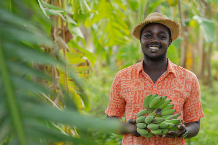African farmer with hat holding raw banana in the organic plantation field.Agriculture or cultivation conceptの写真素材