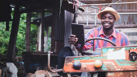 African farmer researching and recording details on the tablet with sit on tractor in a cow farm.Agriculture or cultivation conceptの写真素材