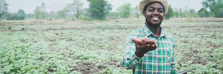 African farmer man holding fresh sweet potato at organic farm with using tablet.Agriculture or...