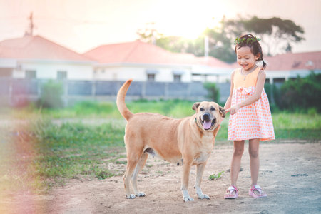 The little girl is stroking her dog with gently and friendly, showing love and care of petの写真素材