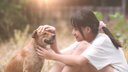 A cute little girl raises a dog with gentleness and friendliness. Concept of showing love and caring for pets. Pet owner and dog smile at each otherの写真素材