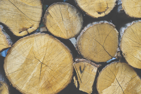 Wood background