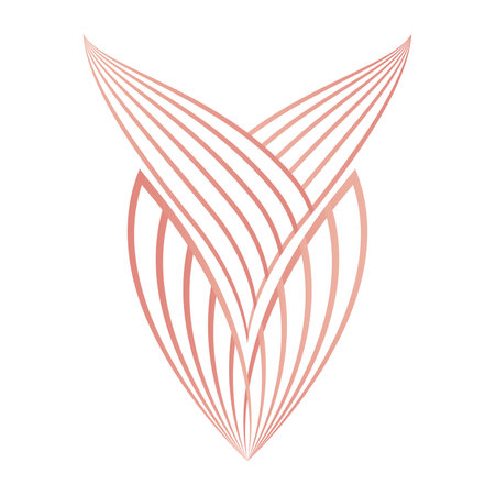 flower petals, flower line ornamentのイラスト素材