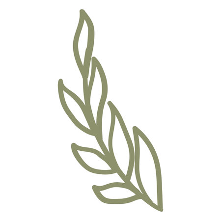 natural floral doodle isolated on white backgroundのイラスト素材