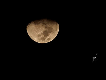 Half Moon