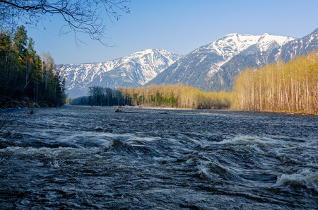 River Snezhnaya in mountains ridge Khamar-Dabanの写真素材