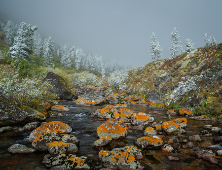 Autumn in the Eastern Sayan Mountainsの写真素材