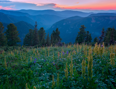 After Sunset on ridge Khamar-Dabanの写真素材