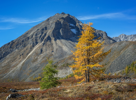 Autumn contrasts in mountainsの写真素材