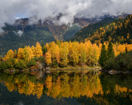 The beginning of the autumn in the mountainsの写真素材