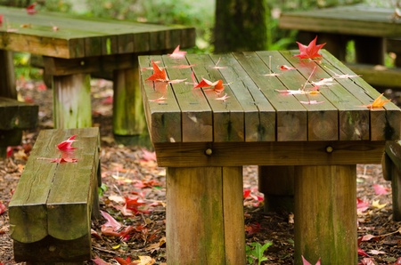 Red platanus leaves on a wet wooden table in autumn, fallの写真素材