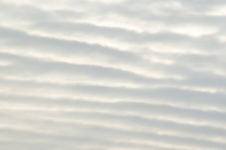 Background structure of a even white cloud pattern on the skyの写真素材
