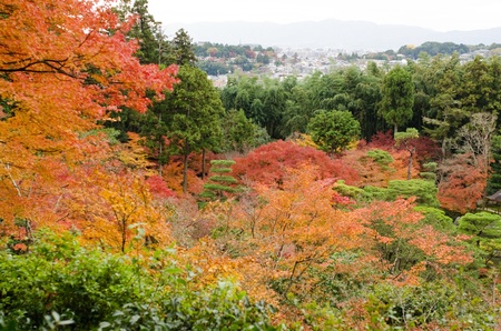 Japanese garden at Ginkaku-ji temple in Kyoto, Japanのeditorial素材