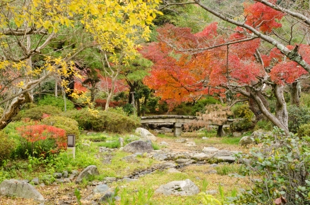 Japanese park in Kyoto in autumn with red and yellow leavesの写真素材