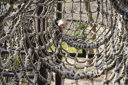 Young boy looking around the corner in a climbing netの写真素材