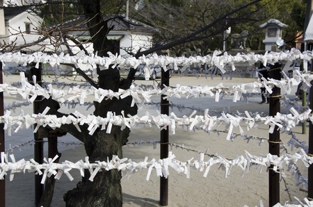Typical Omikuji at a japanese Shrine in four rowsの写真素材