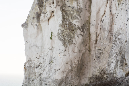 Detail of a chalk cliff at moens klint in Denmarkの写真素材