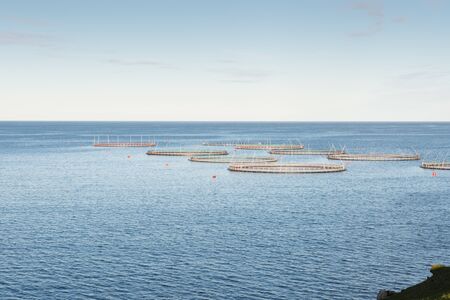 Salmon farm on the Faroe Islands as seen from the coast