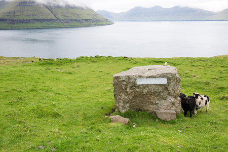 Varmakelda on Eysturoy on the Faroe Islands with sheepの写真素材