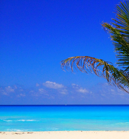 Beaches of Cancun in Mexicoの写真素材