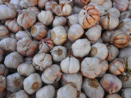 garlic in the market, closeup of photo on white backgroundの写真素材