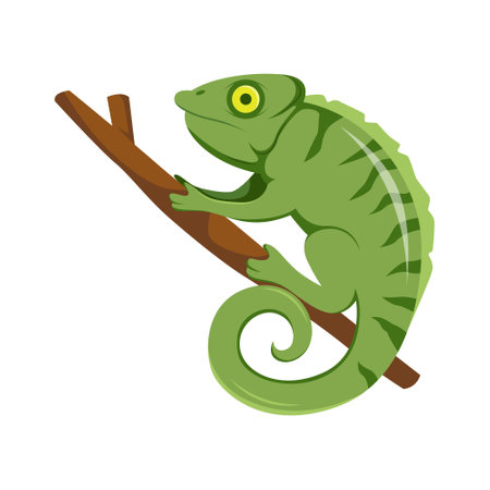 Chameleon on the Tree Cartoon Illustrationのイラスト素材