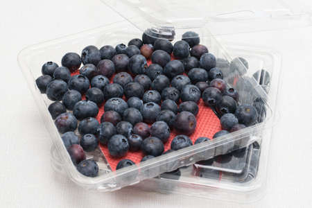 Blueberry in white containerの写真素材