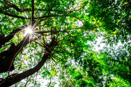 overmeの写真素材