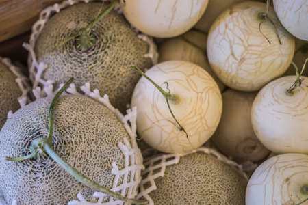 Thailand fruit Melonの写真素材