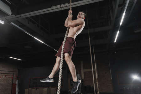 Young crossfit athlete climbing a rope at the gym. Man doing functional training. Workout exercisesの写真素材